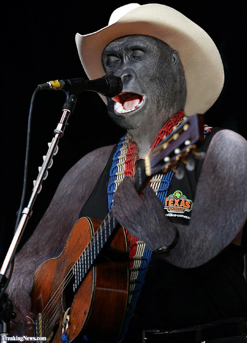 Willie Nelson Christmas Songs Pictures Wallpapers Willie Nelson Christmas Songs Pictures Wallpapers